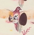 200x70 cm