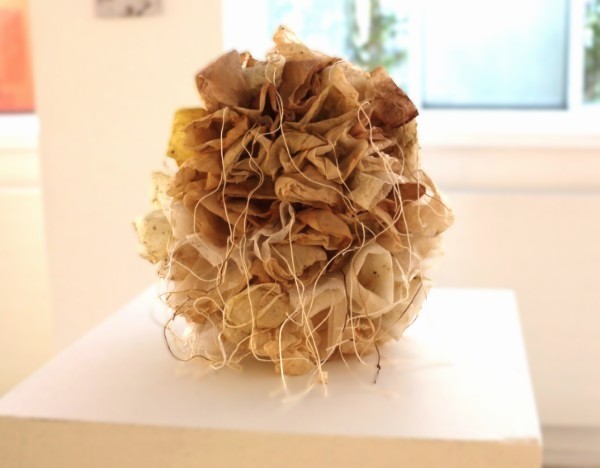 Flowers grow everywhere